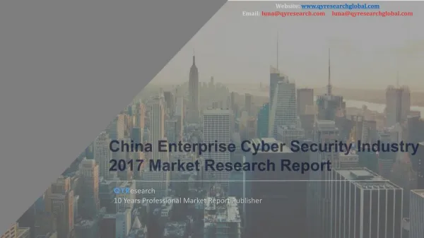 China Enterprise Cyber Security Industry 2017 Market Research Report