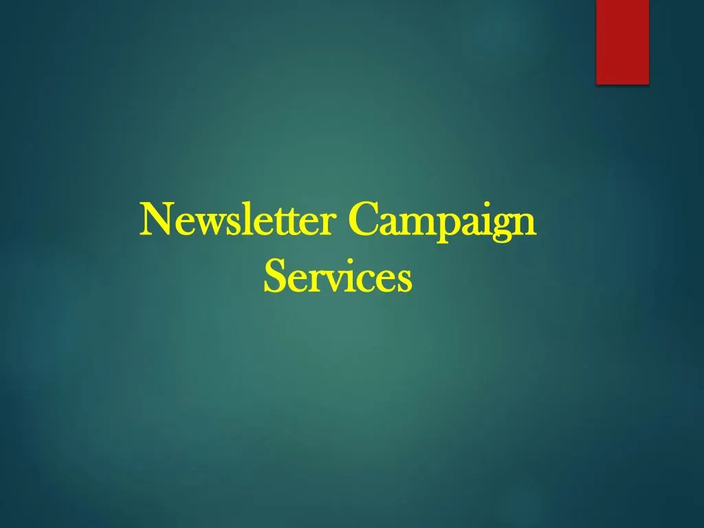 newsletter campaign services
