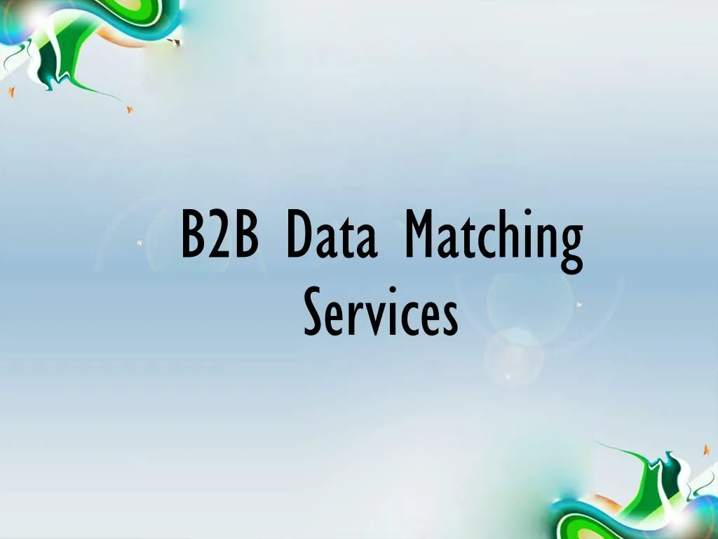 b2b data matching services