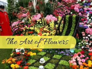 The art of flowers