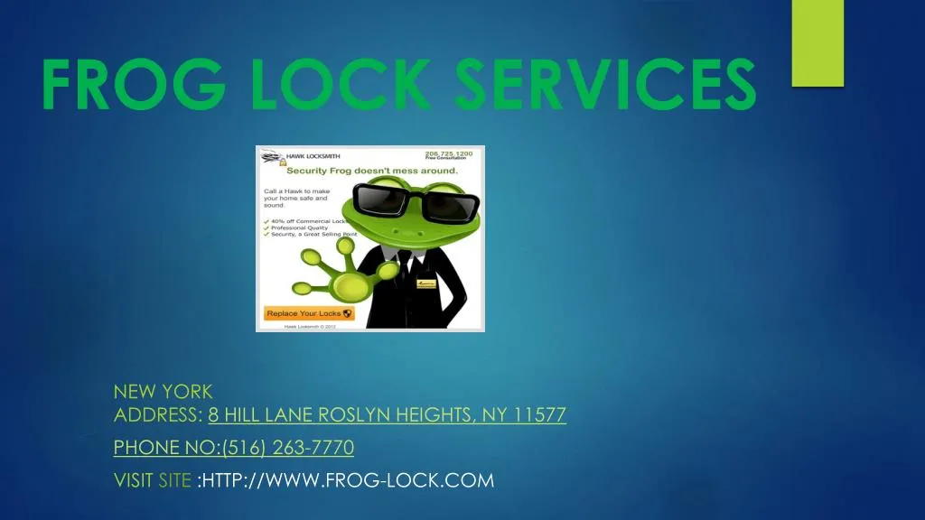 frog lock services