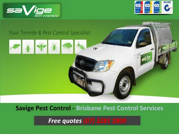 Savige Pest Control - Brisbane Pest Control Services