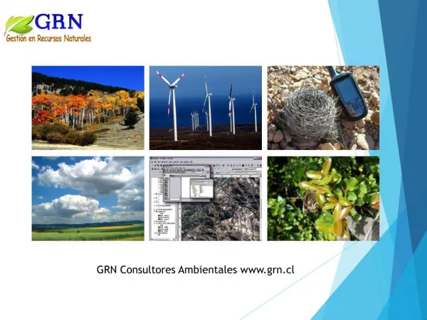 GRN Consultores Ambientales www.grn.cl