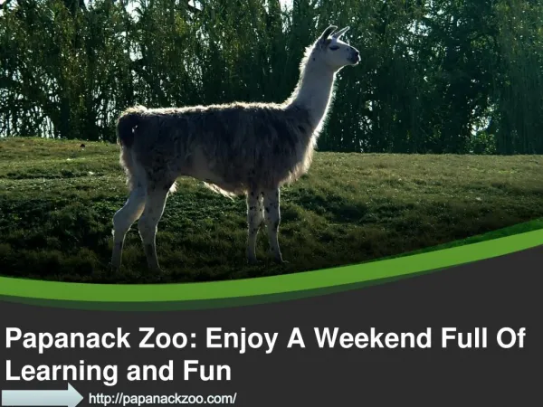 Papanack Zoo: Enjoy A Weekend Full Of Learning and Fun