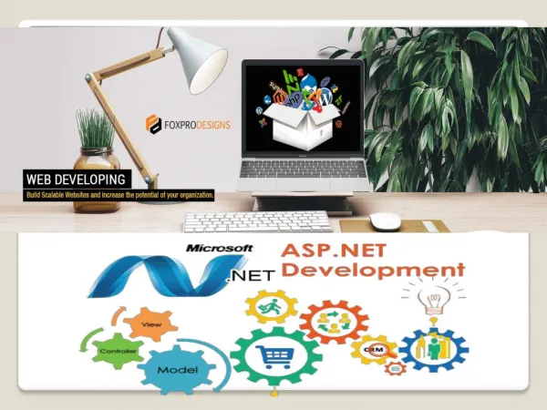 ASP Dot Net Development Service