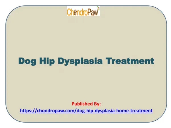 Dog Hip Dysplasia Treatment