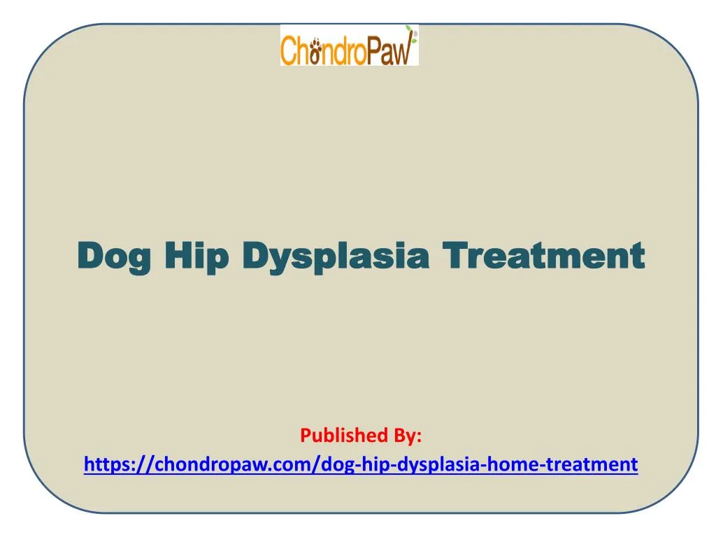 dog hip dysplasia treatment published by https chondropaw com dog hip dysplasia home treatment