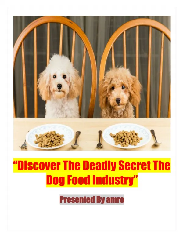 Discover The Powerful Dog Training Secrets