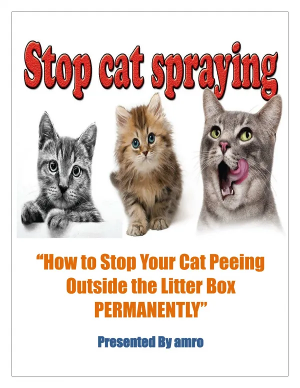 How to Stop Your Cat Peeing Outside the Litter Box PERMANENTLY!