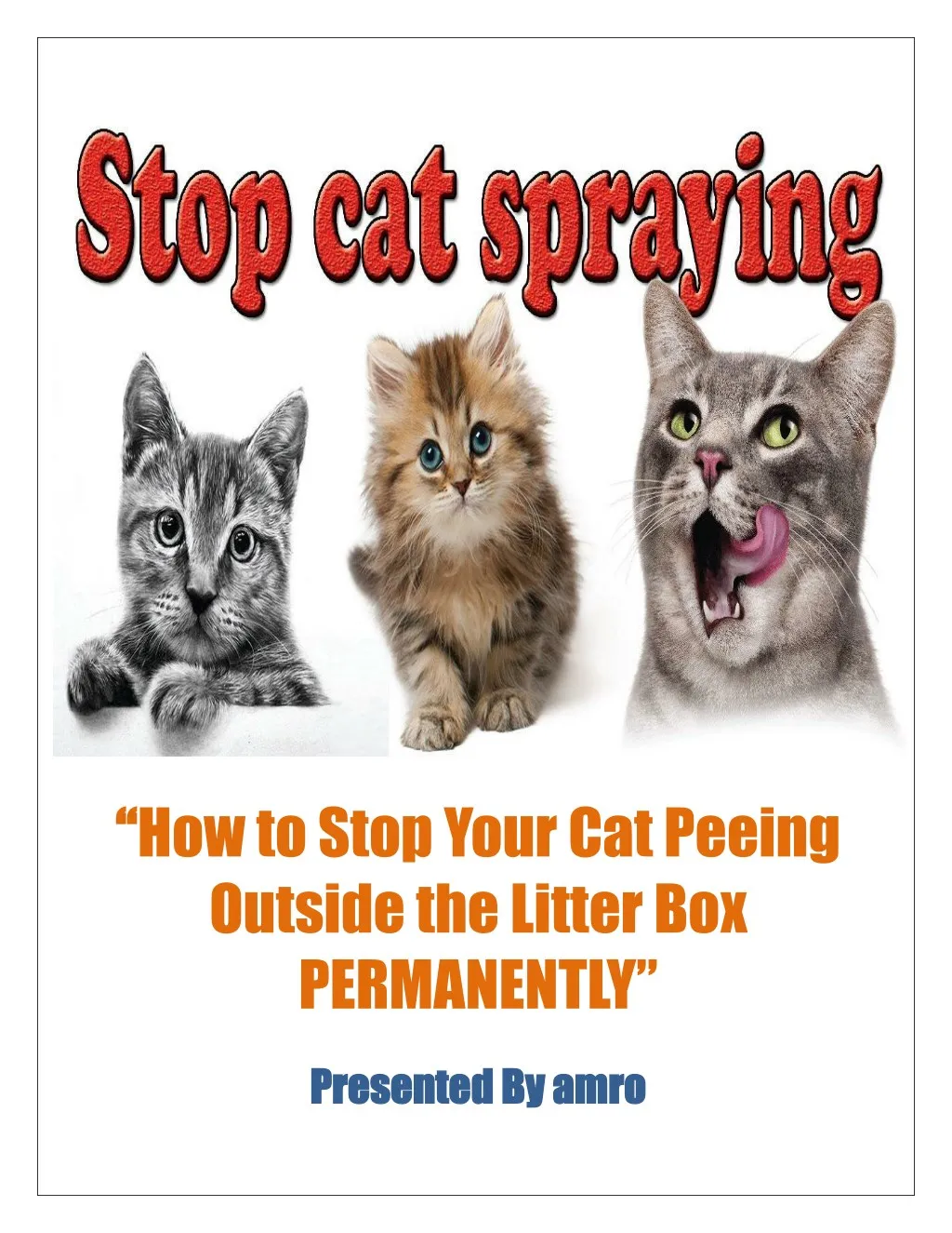 how to stop your cat peeing outside the litter
