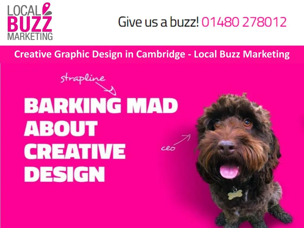 creative graphic design in cambridge local buzz