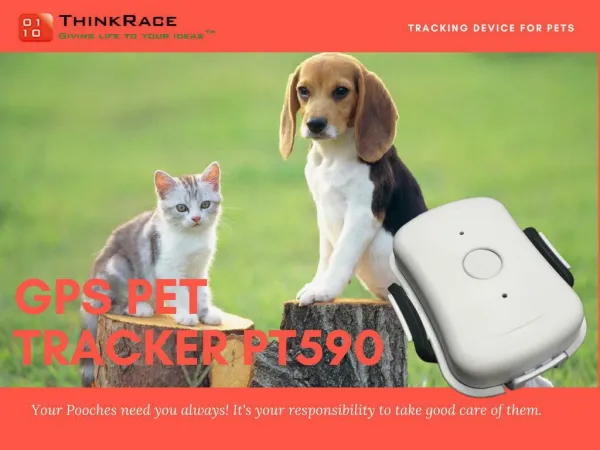 GPS Pet Tracker PT590