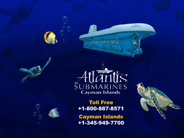 Interested in Cayman Islands submarine excursion tour? Know more