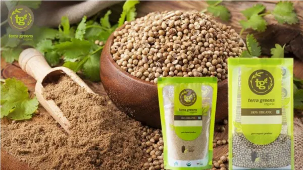 Nutritional Facts And Health Benefits of Coriander Seeds