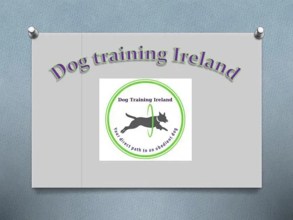 Dog Training Ireland