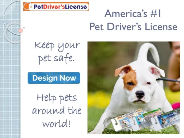 Pet Drivers License to help pets all around the world
