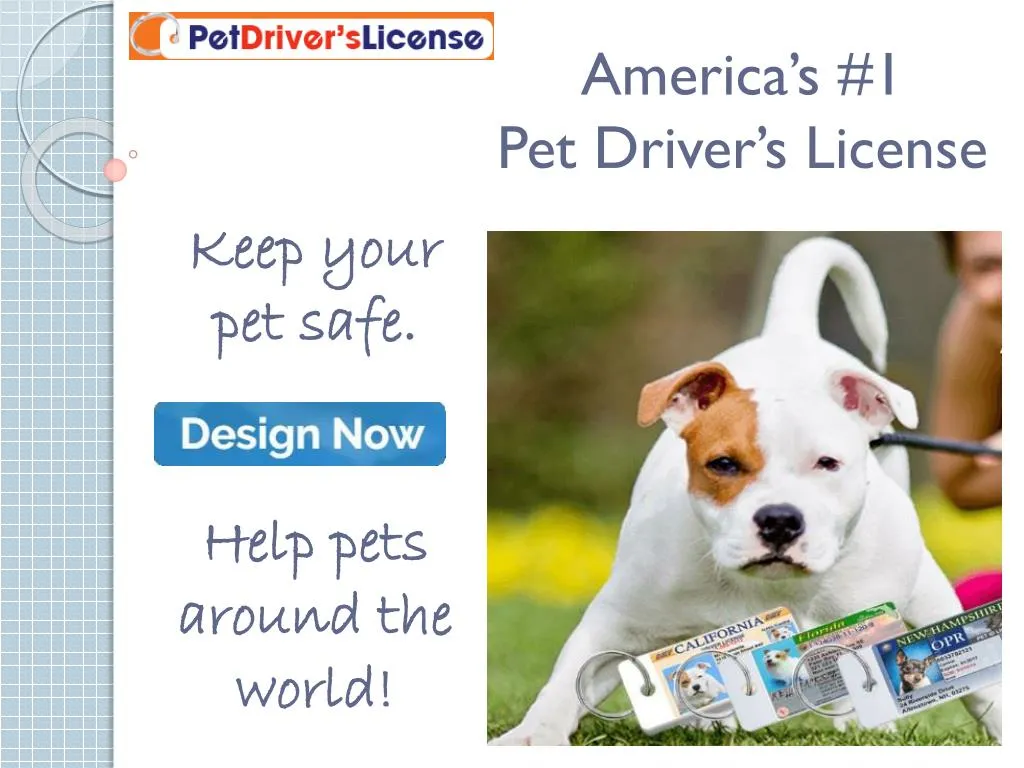 america s 1 pet driver s license