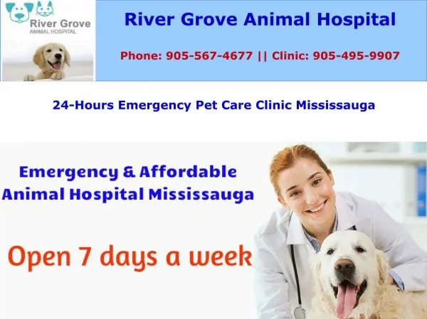 Emergency and Affordable Animal Hospital Mississauga
