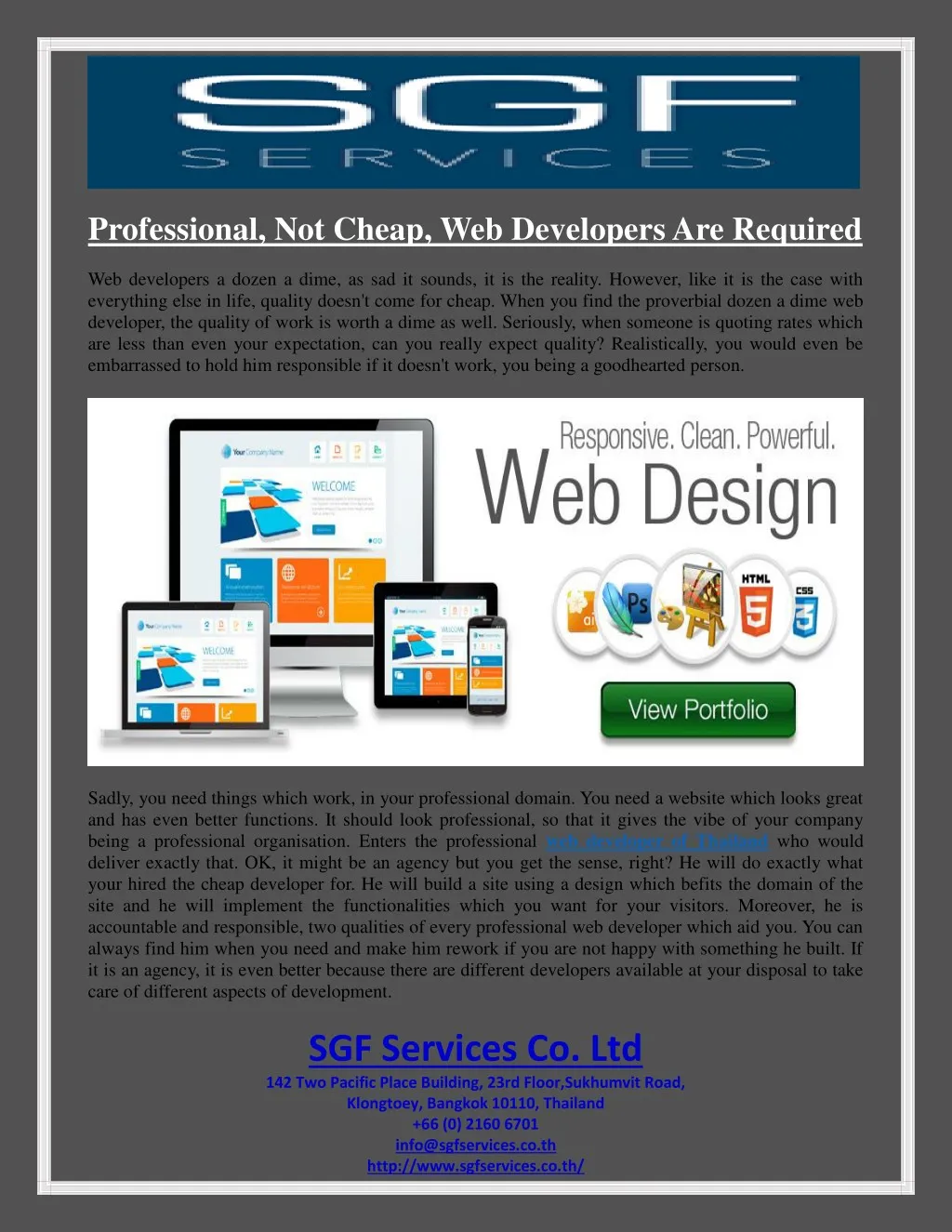 professional not cheap web developers