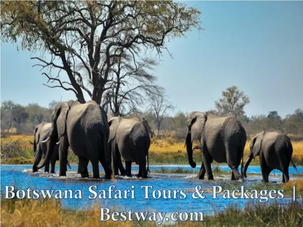Botswana Safari Tours & Packages | Bestway.com