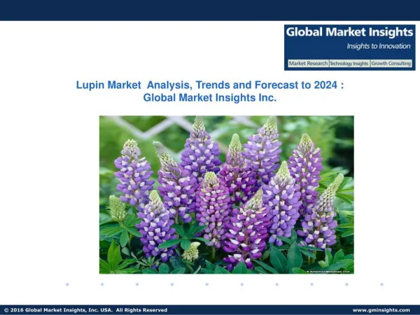 Lupin Market Applications, share, Regional Outlook & Competitive market space, 2017-2024