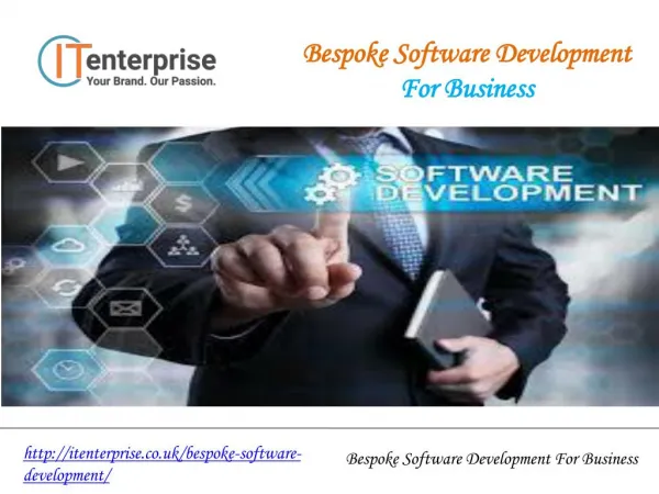 Bespoke Software Development For Business