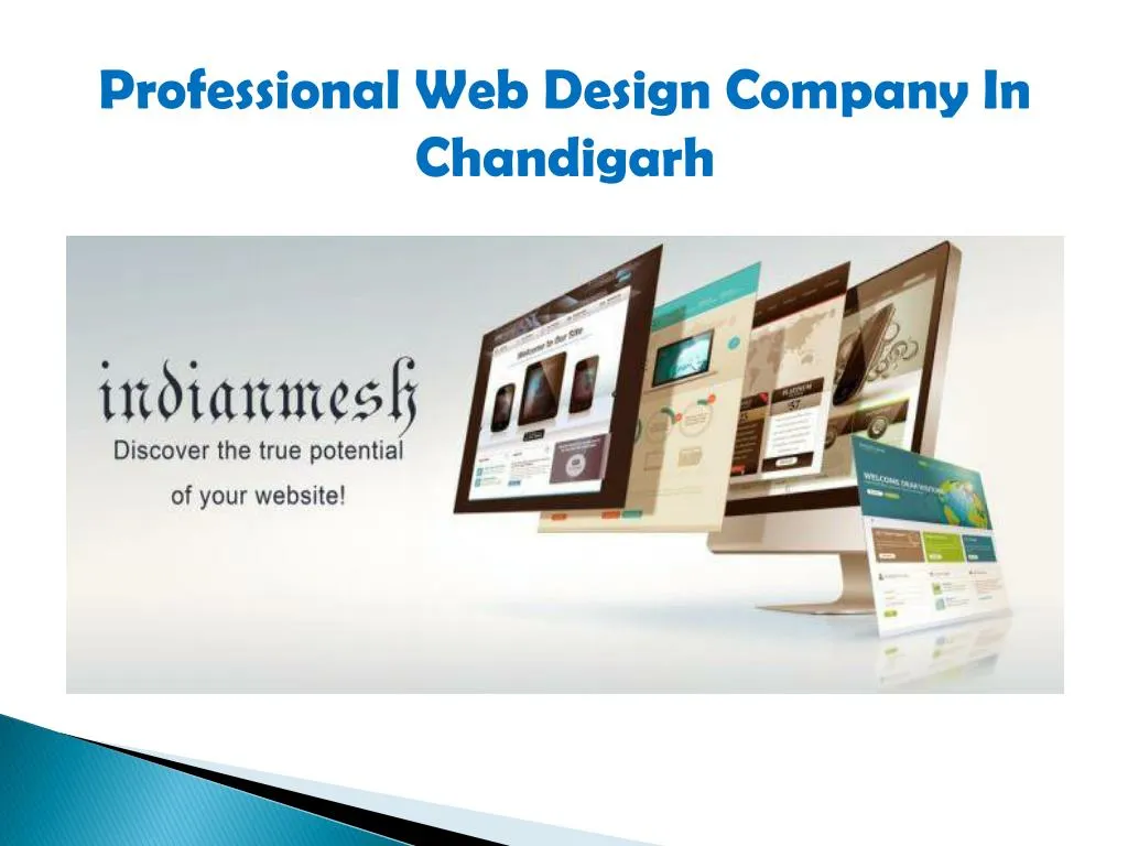 professional web design company in chandigarh