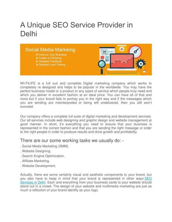 A Unique SEO Service Provider in Delhi