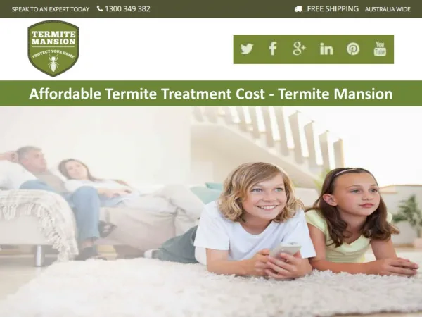 Affordable Termite Treatment Cost - Termite Mansion