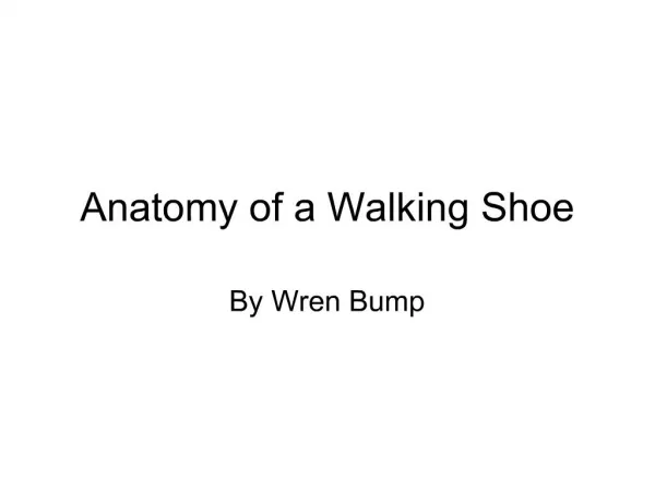 Anatomy of a Walking Shoe