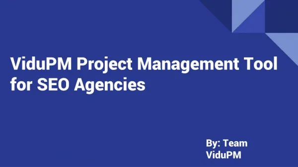 Project Management Tool for SEO Agencies