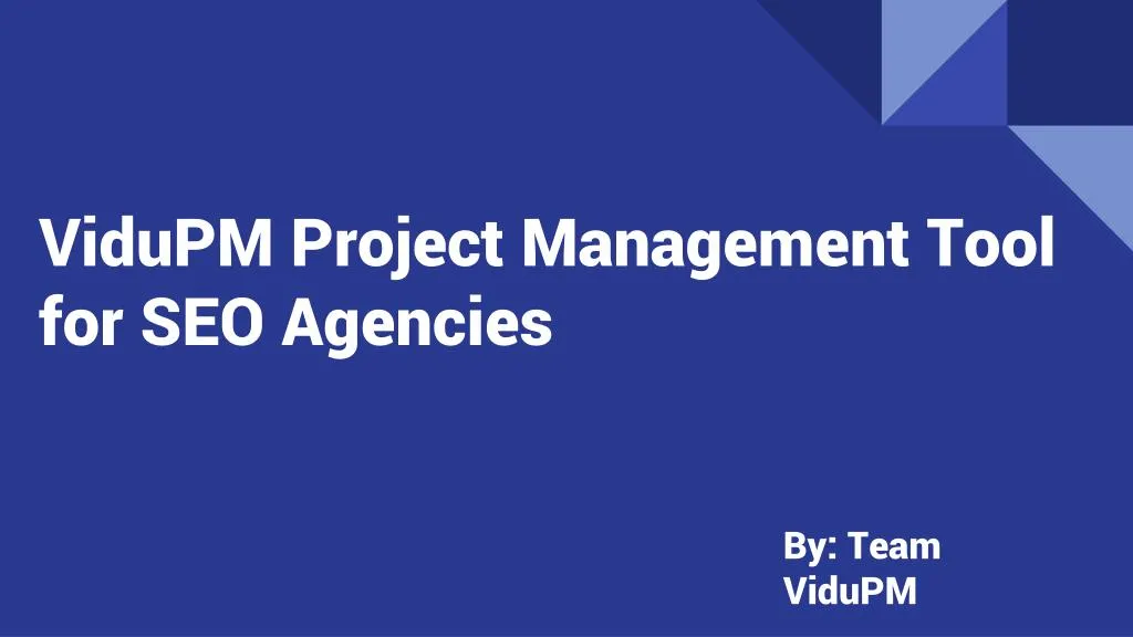 vidupm project management tool for seo agencies