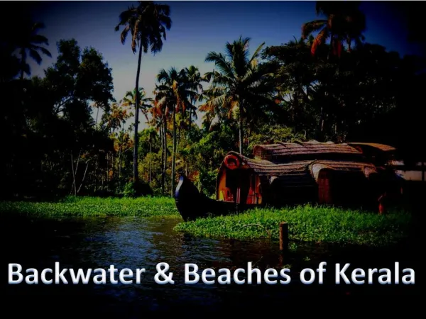 Backwater & Beaches of Kerala