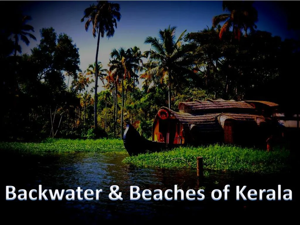 backwater beaches of kerala
