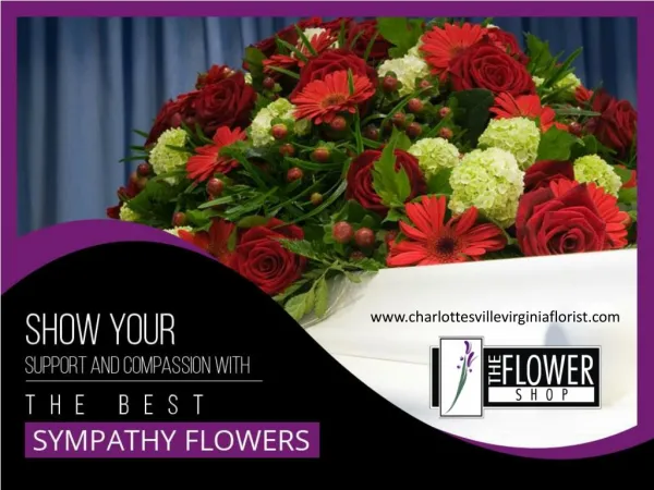 Flower Shops in Charlottesville - Best Sympathy Flowers