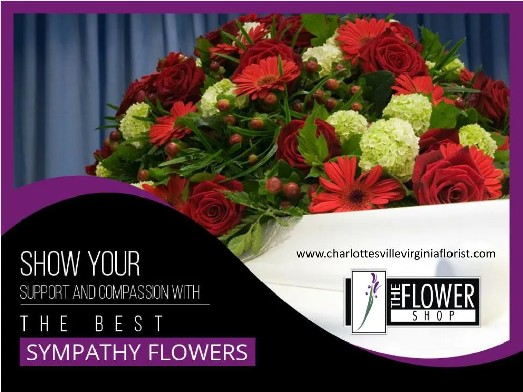 show your support and compassion with the best sympathy flowers