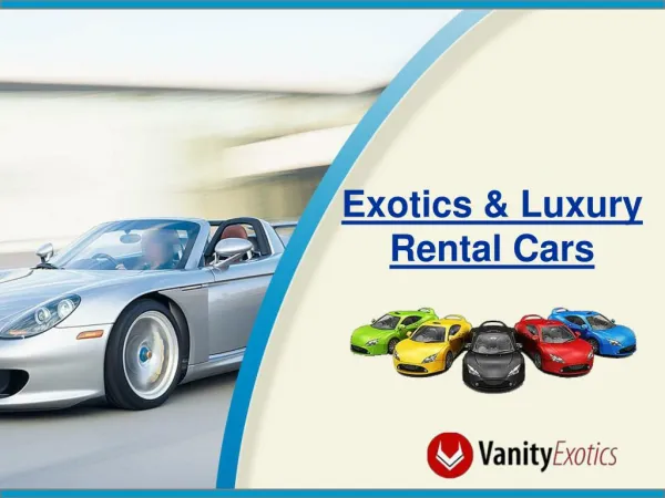 Exotics and Luxury Rental Cars