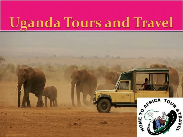Taking Up Uganda Tours And Travel For Spotting The Best Scenic Beauty