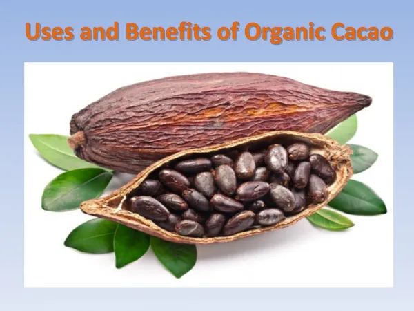 What Are the Benefits of Organic Cocoa Powder?