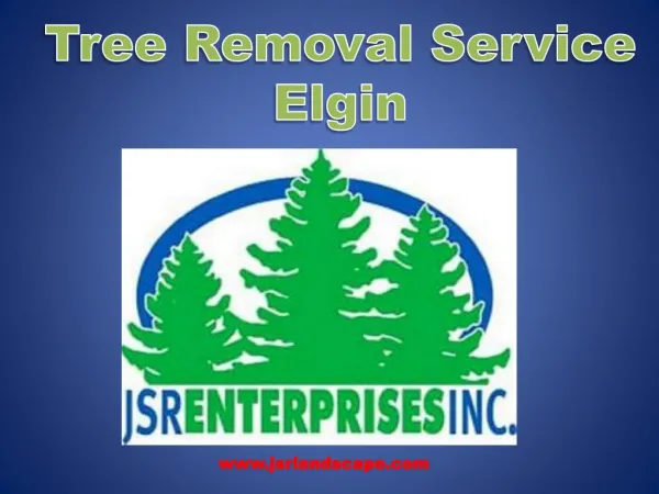 Best Low Cast Tree Removal and Landscaping services in Elgin