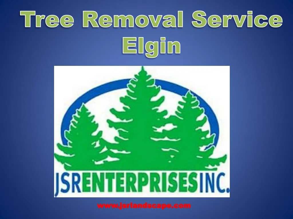 tree removal service elgin