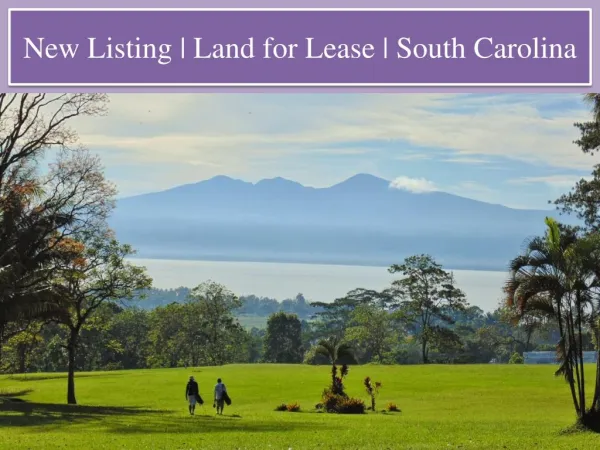 New Listing | Land for Lease | South Carolina
