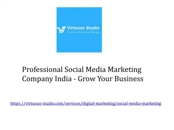 Professional Social Media Marketing Company India