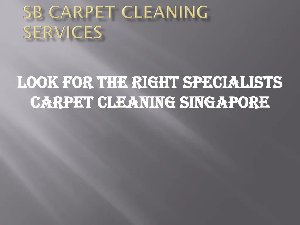 sb carpet cleaning services