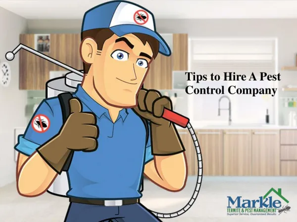 Tips to Choose A Pest Control Company