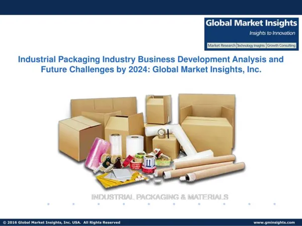 Industrial Packaging Industry Business Development Analysis and Future Challenges by 2024