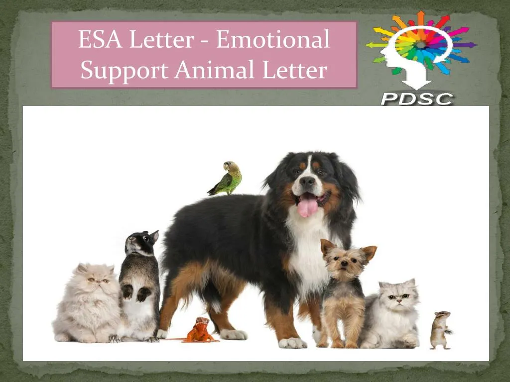 esa letter emotional support animal letter