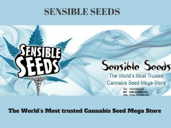 Buy Medical Marijuana Seeds Online