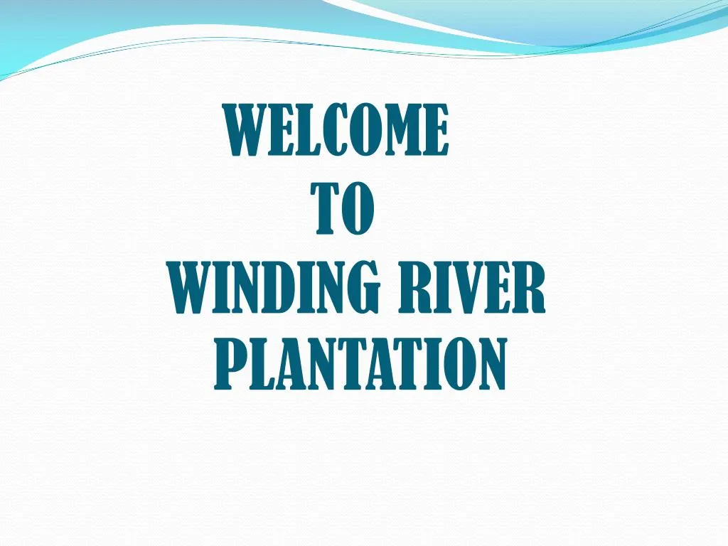 welcome to winding river plantation