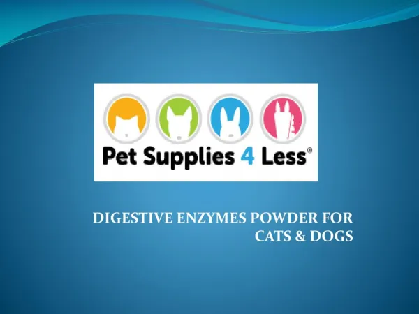 Digestive Enzyme for Pets